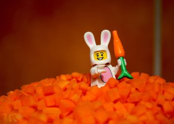 Consuming a Plant-Primarily based Food plan: Safely Going Vegan