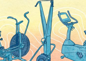 The Newbie’s Information to All of the Totally different Cardio Machines at Your Gymnasium