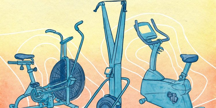 The Newbie’s Information to All of the Totally different Cardio Machines at Your Gymnasium
