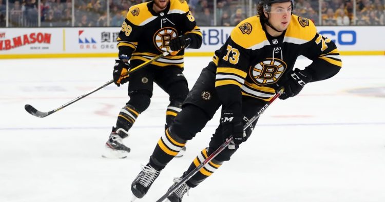 The Fantasy Hockey Report – NHL Fantasy Hockey Rankings: High 50 NHL Fantasy Hockey Defensemen Rankings