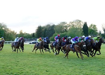 Immediately on Sky Sports activities Racing: Lingfield, Windsor and Wolverhampton | Racing Information