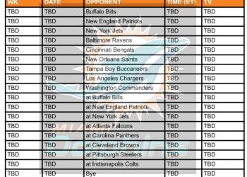 Printable 2025 Miami Dolphins Schedule; Matchups and TV Broadcasts