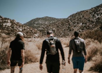 Greatest Climbing Trails Close to Sacramento for All Talent Ranges