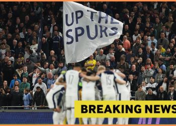 Tottenham set to signal Mathys Tel completely for €35 million