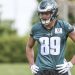 Eagles WR Johnny Wilson wants surgical procedure and his 2025 season has been reduce brief