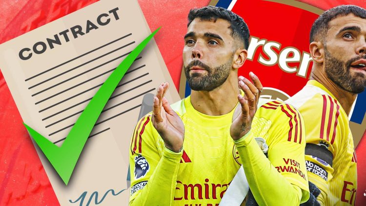 Arsenal should give “their greatest Emirates-era” signing a pay rise