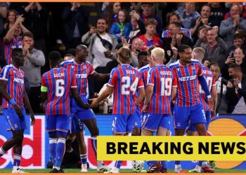 PGMOL urged to punish Georginio Rutter after newest dive