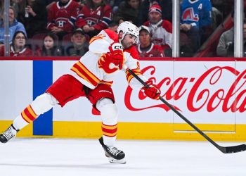 Fantasy Hockey Chilly Record – Week 15