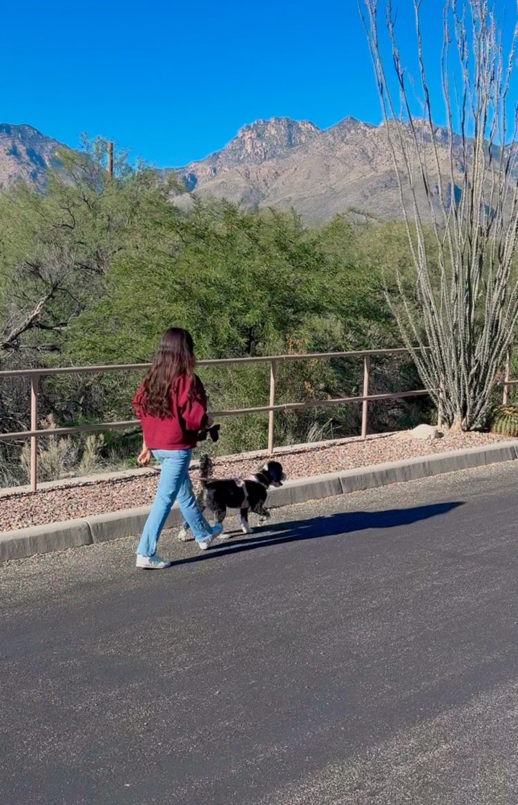 Low-Effort Wellness Habits That Truly Make a Distinction