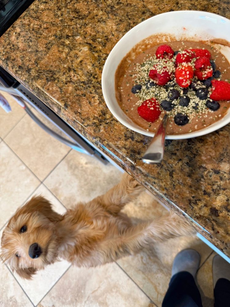 1.30 Friday Faves – The Fitnessista