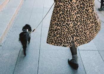 What 10,000 Steps a Day Will get Proper (and Mistaken) About Well being and Weight