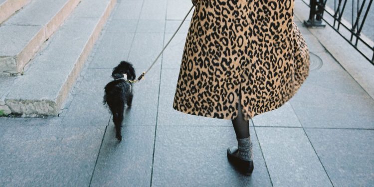 What 10,000 Steps a Day Will get Proper (and Mistaken) About Well being and Weight