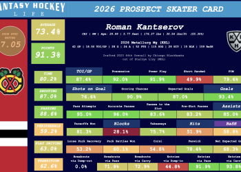 Russian Prospects Standing Out Late within the Season – DobberHockey