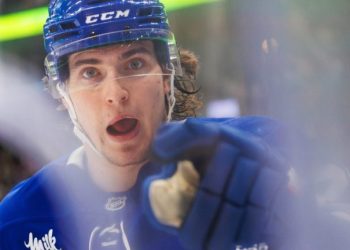 A Knies Night time For A Hockey Sport