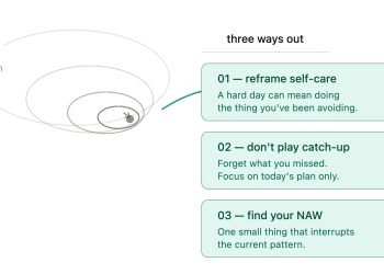 NAWs: the artwork of getting again on monitor