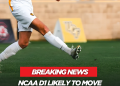 What the Proposed Two-Semester Season Means for Gamers