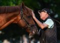 The Puma scratched from Kentucky Derby with leg situation