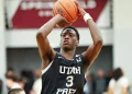 Warmth mock draft picks overview