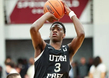 Warmth mock draft picks overview