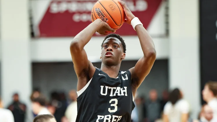 Warmth mock draft picks overview